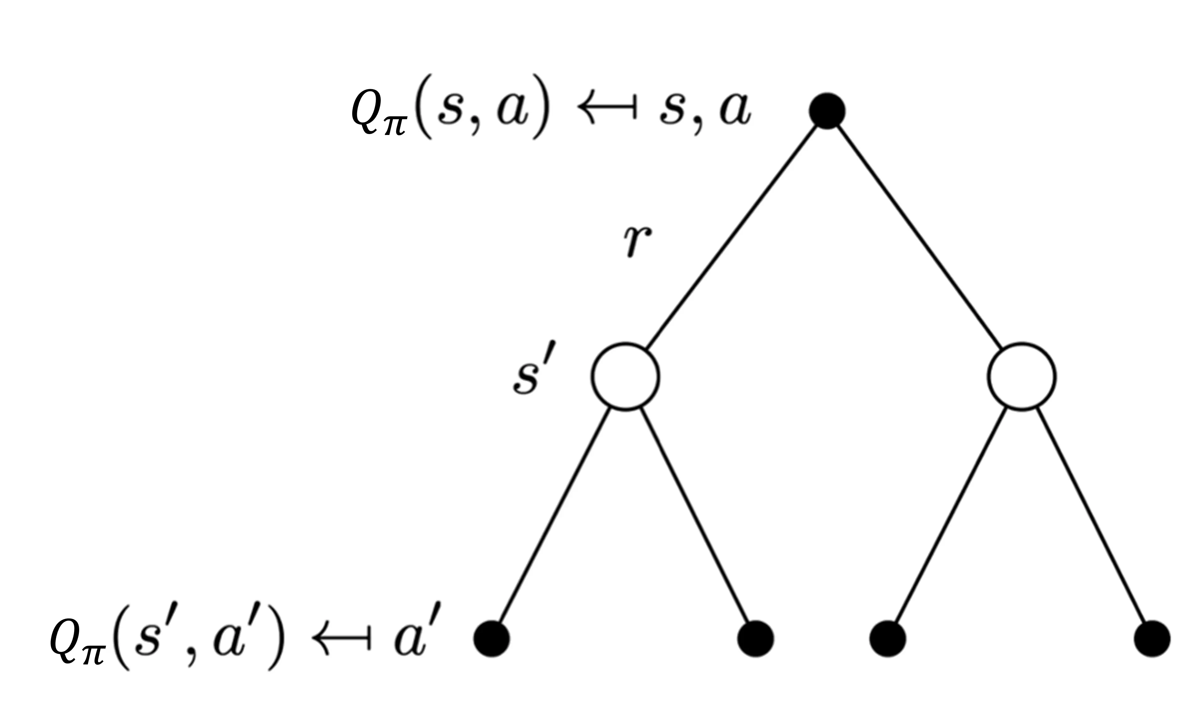 图 2.12 行为价值函数的备份图